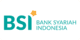 BSI Payment